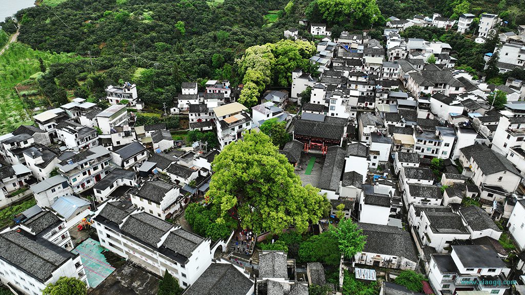 DJI_0933.JPG