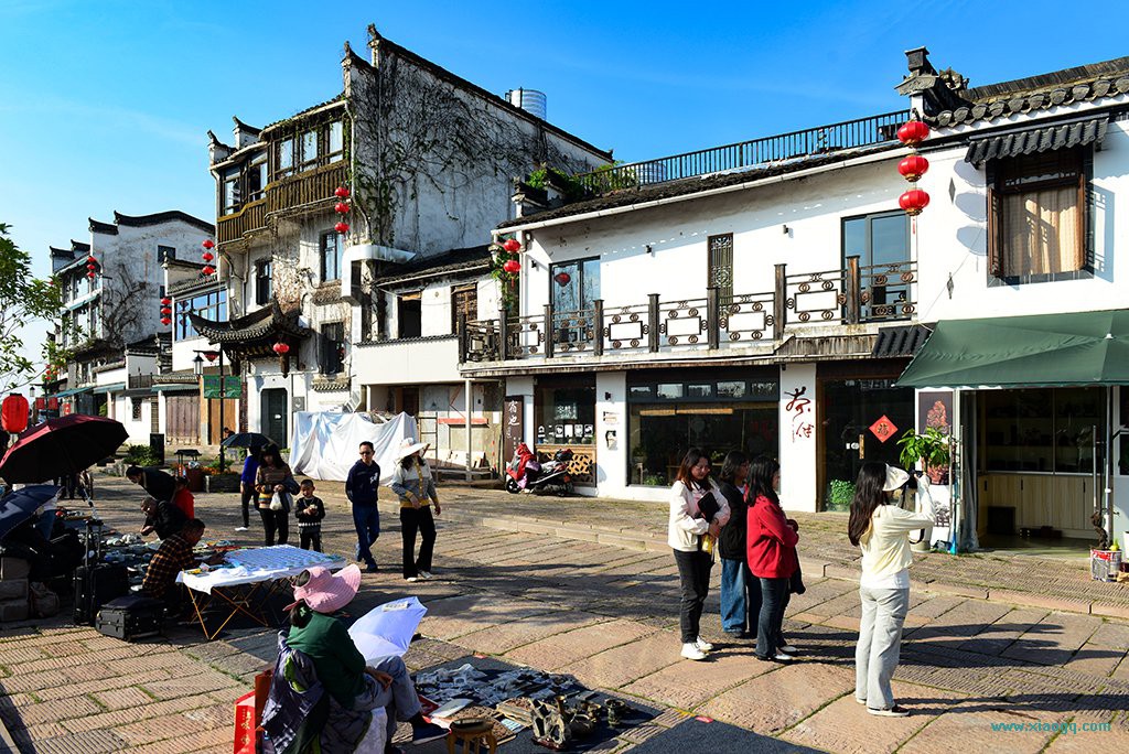 DSC_2462.JPG