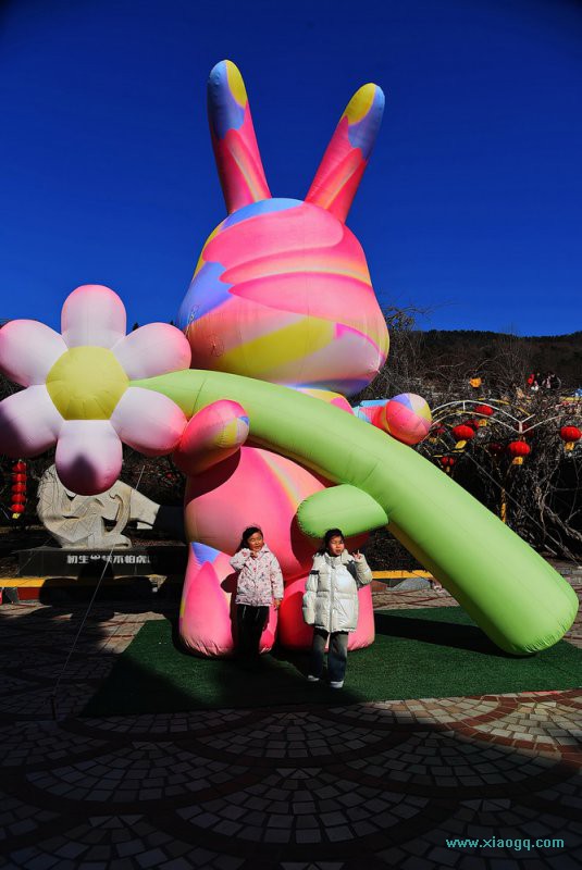 DSC_0893开_调整大小.JPG