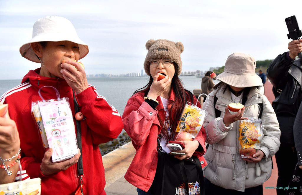 TZN_0243_副本_副本.jpg