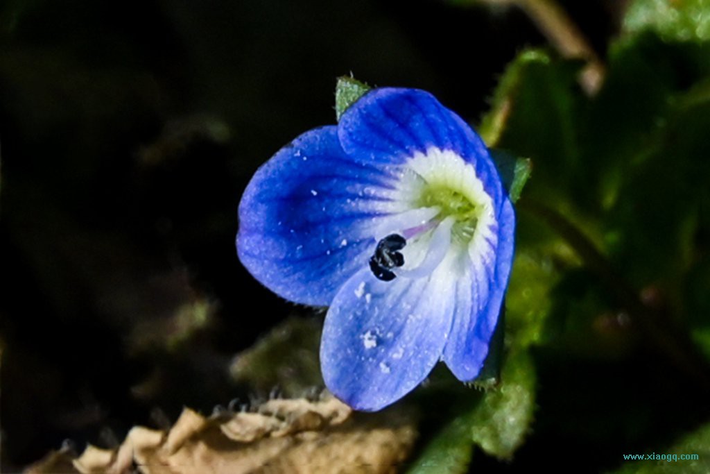 DSC_5813_副本.jpg