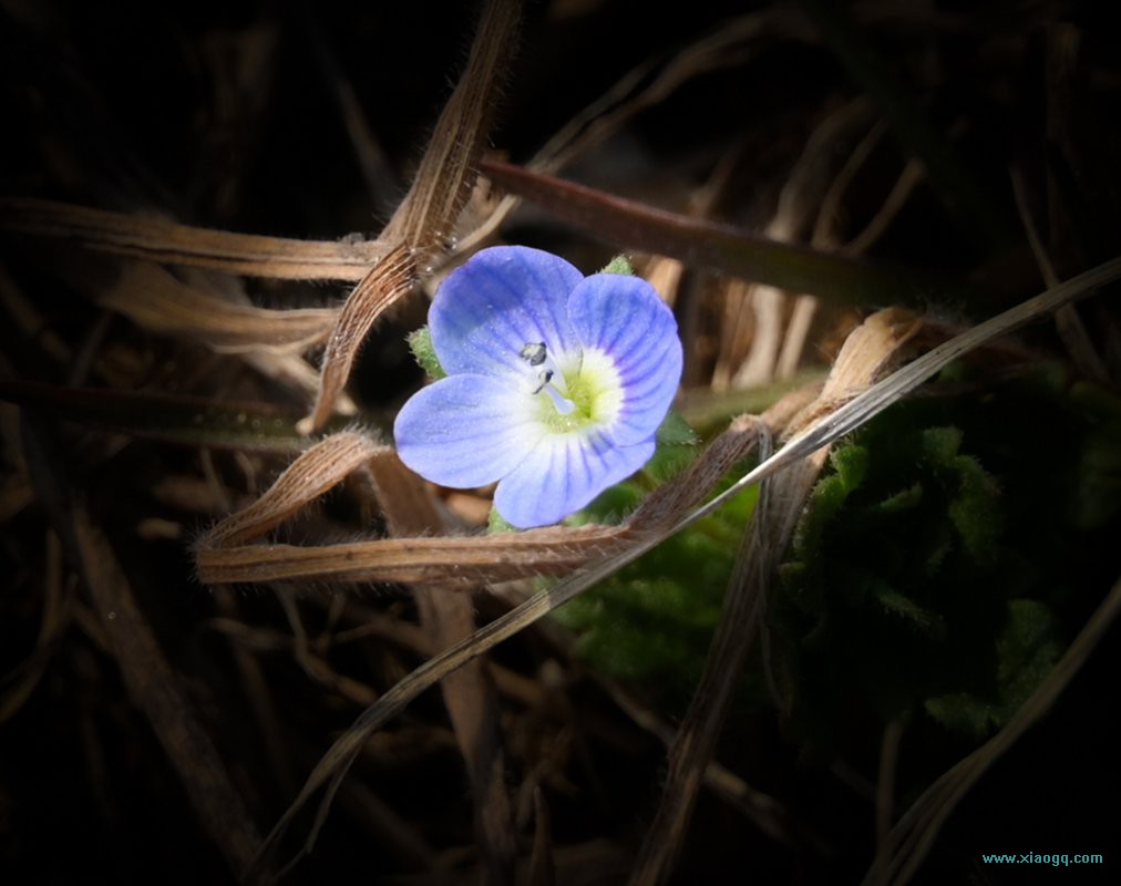 DSC_5809_副本.jpg