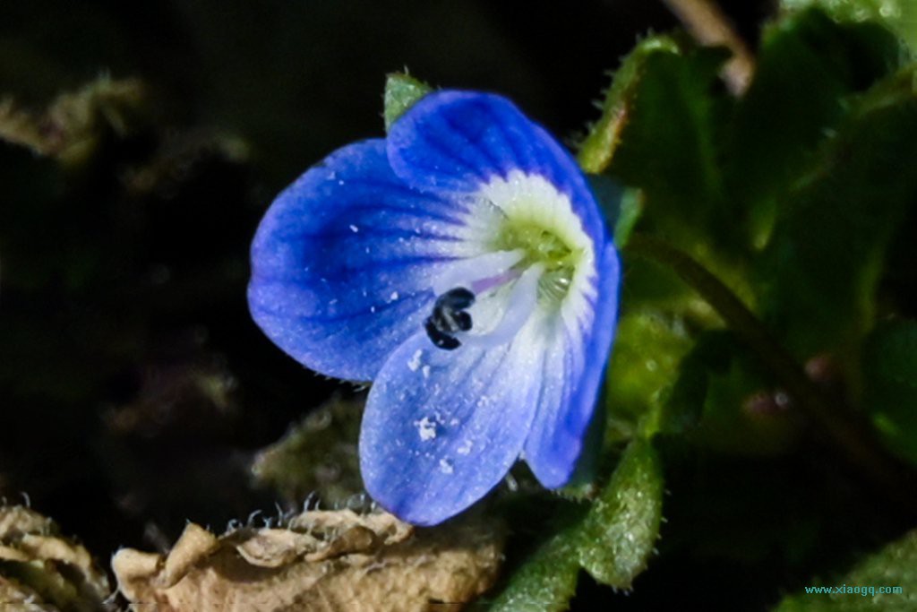 DSC_5814_副本.jpg