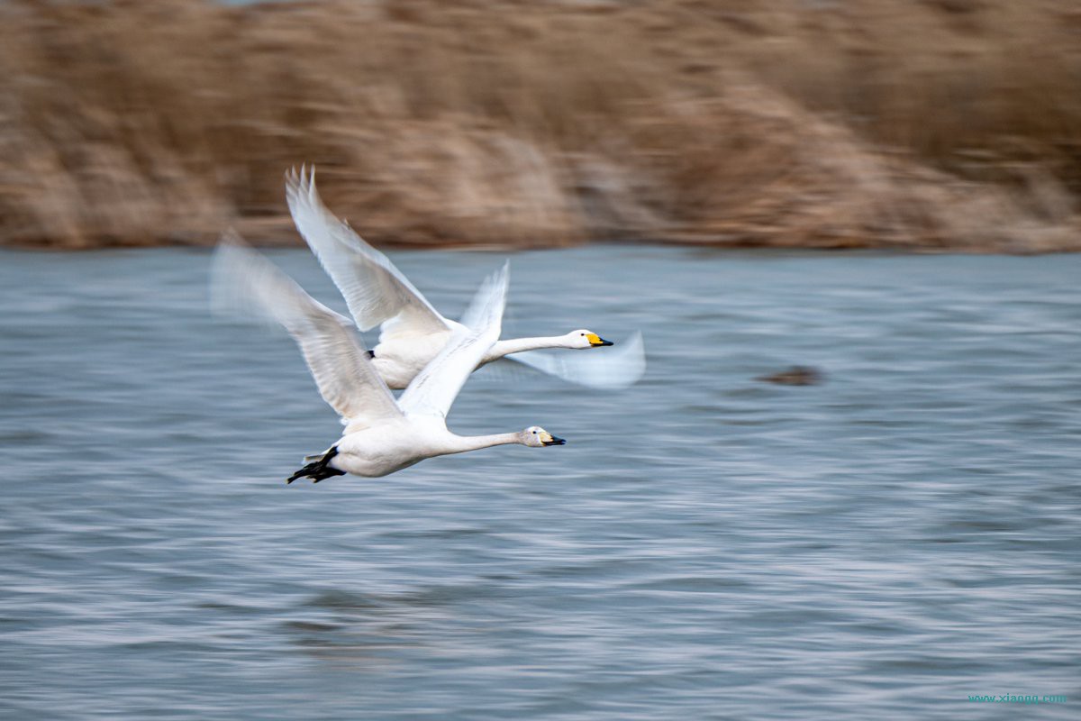 DSC_9648_副本.jpg