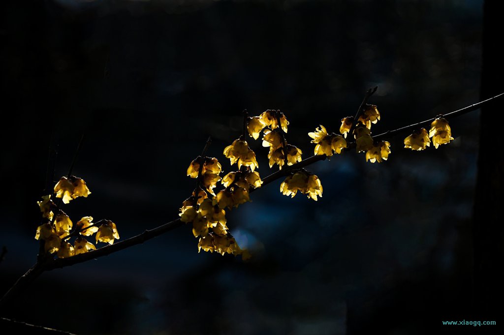 DSC_6349_副本.jpg
