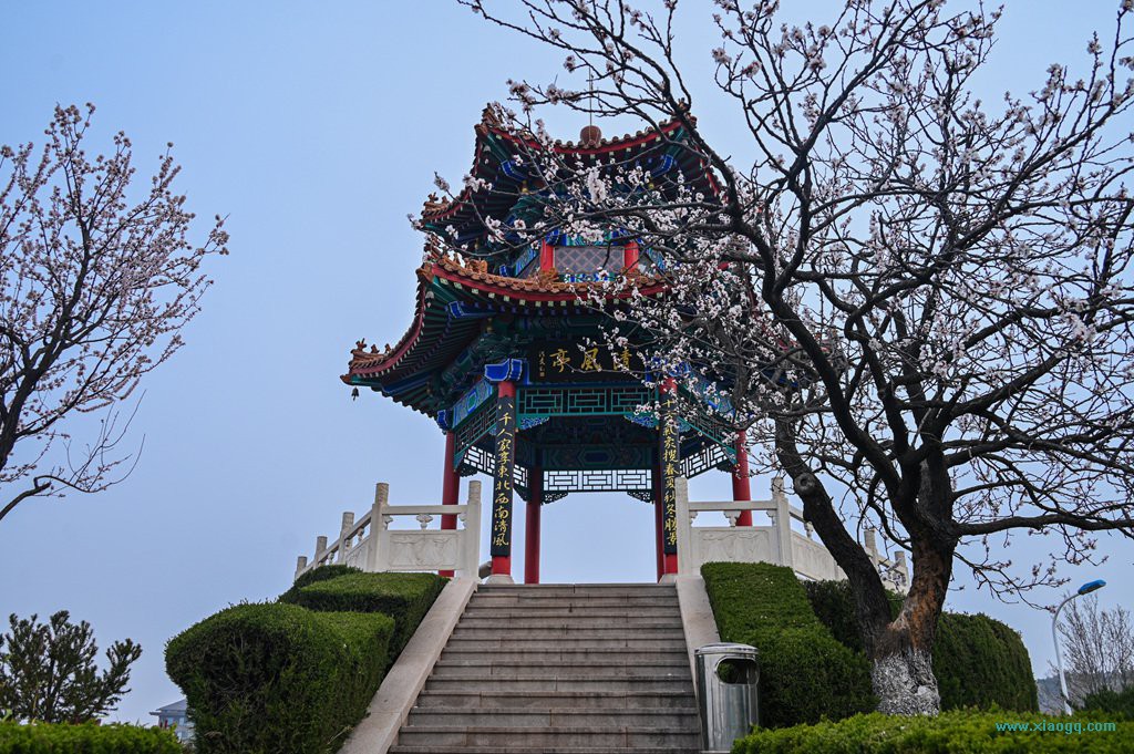 DSC_8119_副本.jpg