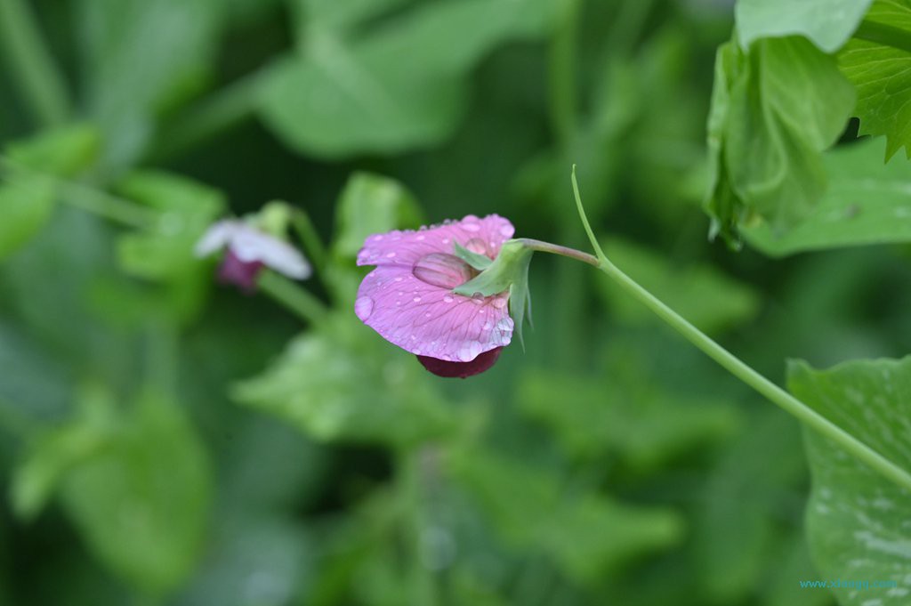 DSC_7710_副本.jpg