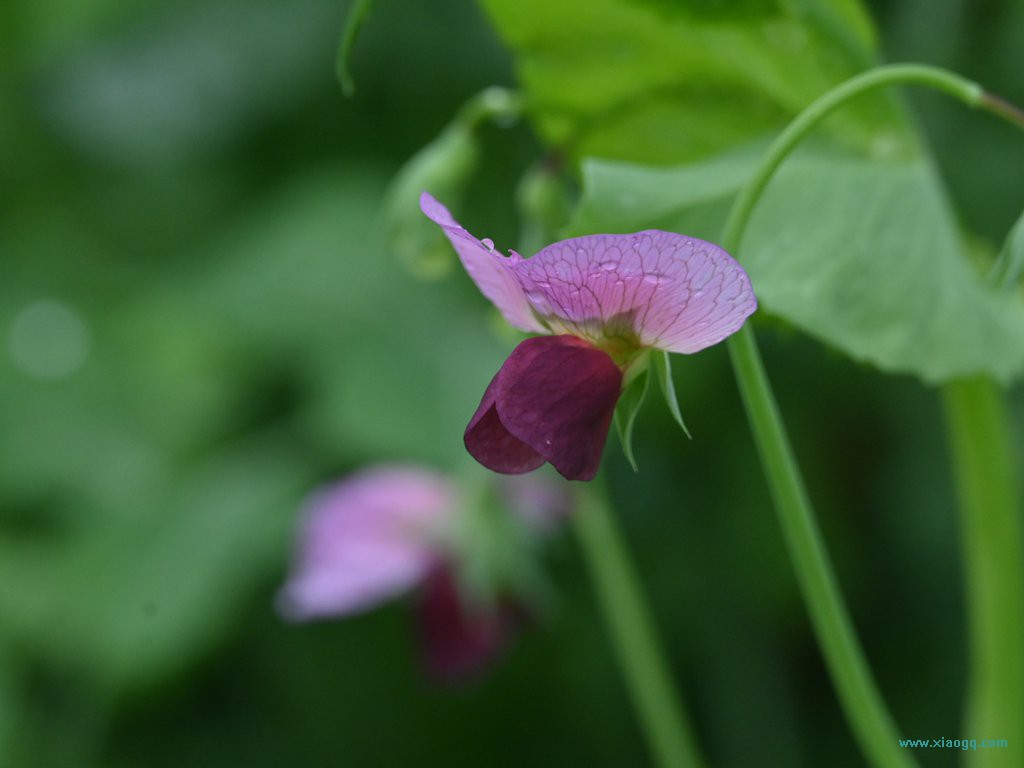 DSC_7711_副本.jpg
