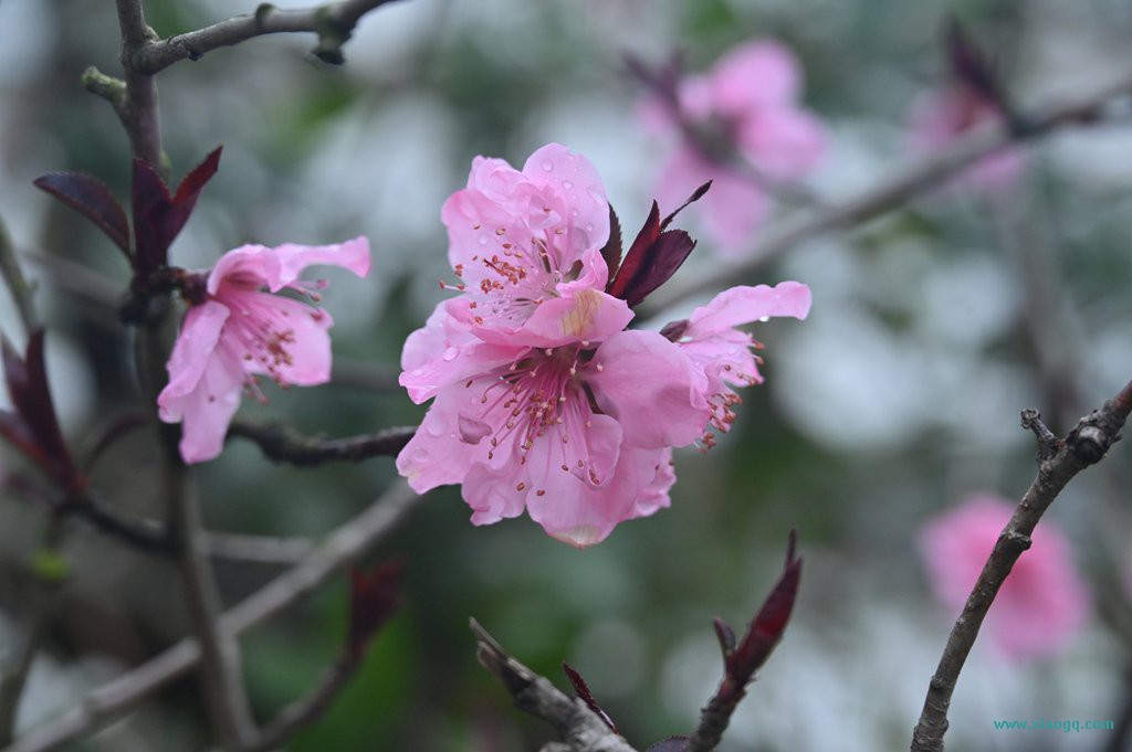 DSC_7723_副本.jpg