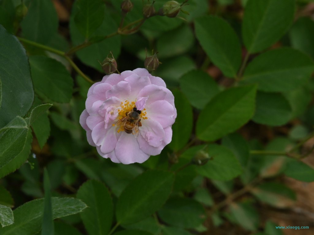 DSC_3357_副本.jpg