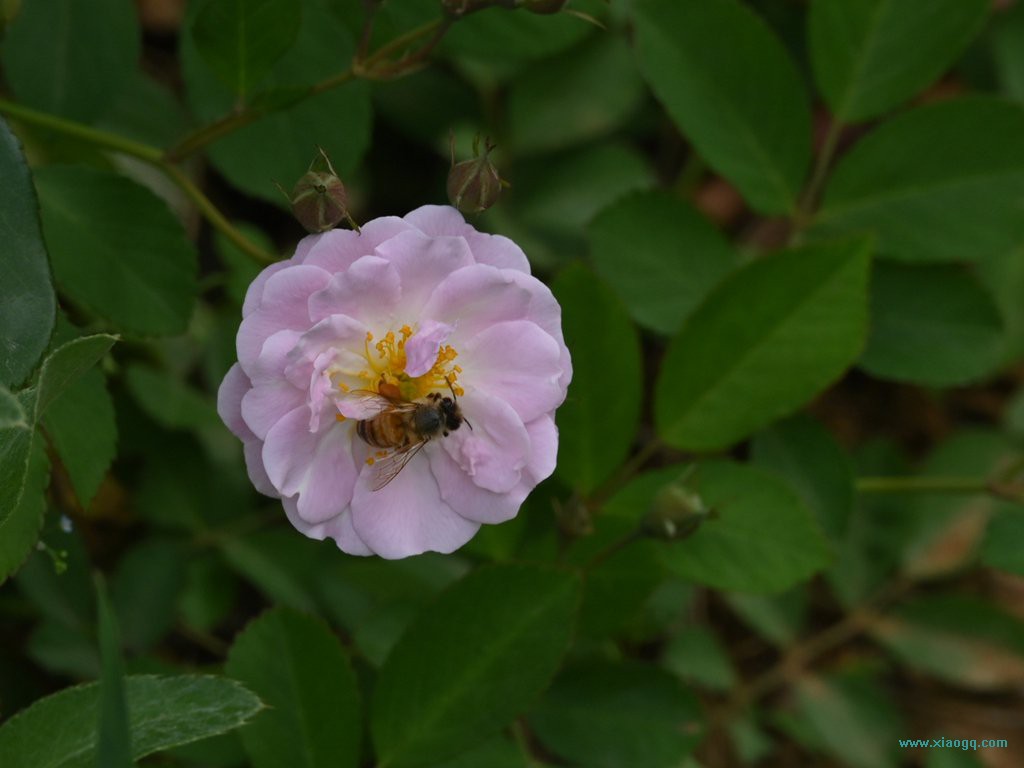 DSC_3358_副本.jpg