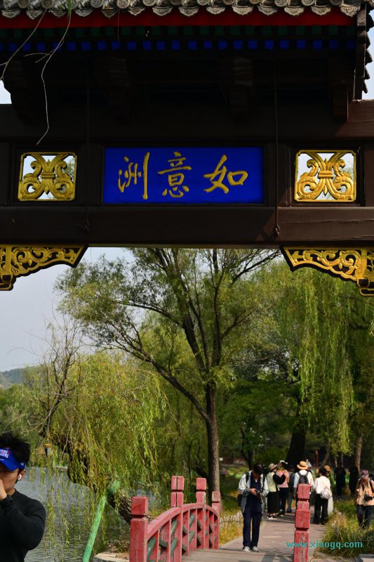 DSC_3464_副本.jpg