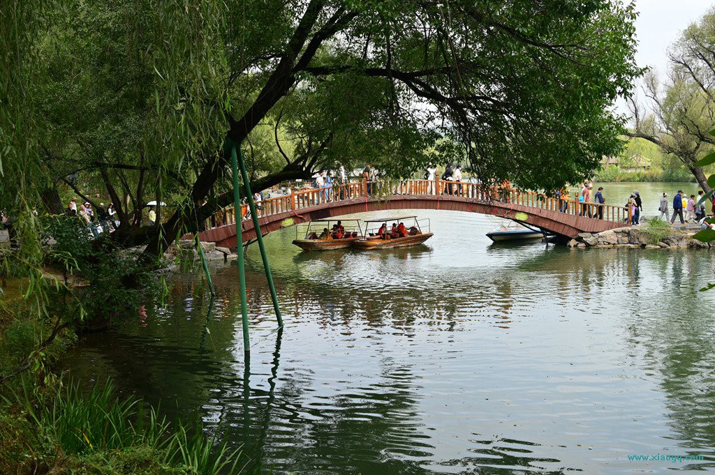 DSC_3476_副本.jpg