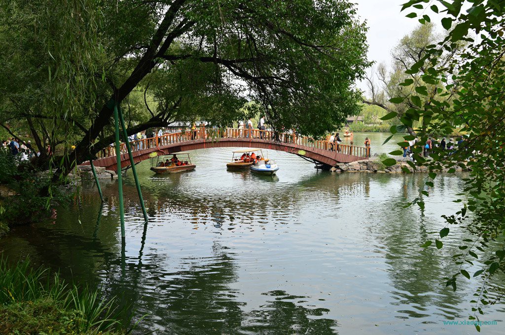 DSC_3477_副本.jpg
