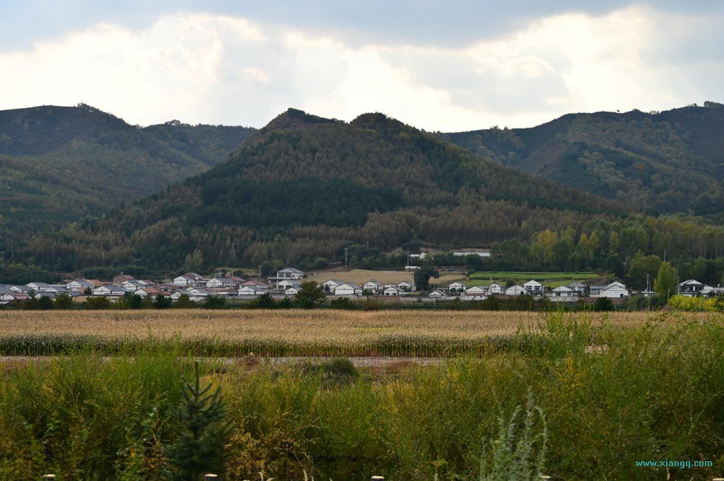 DSC_3499_副本.jpg