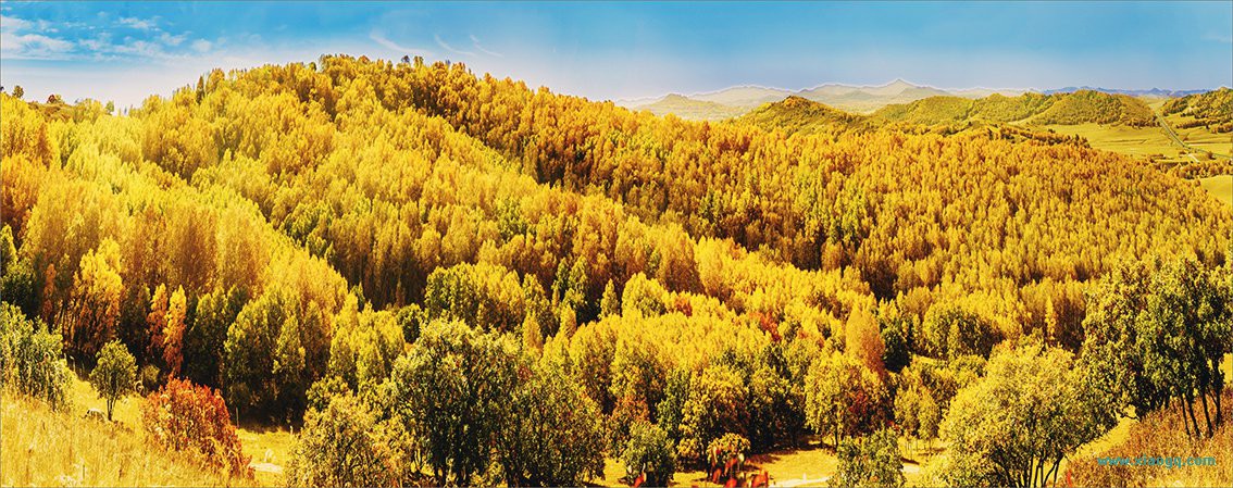 未标题_全景图-1at 拷贝 2.jpg