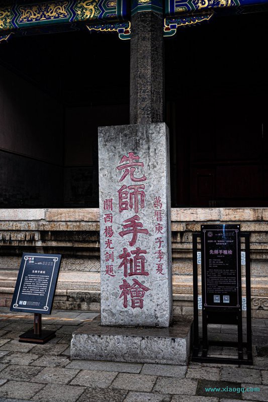 DSC_5727_副本.jpg