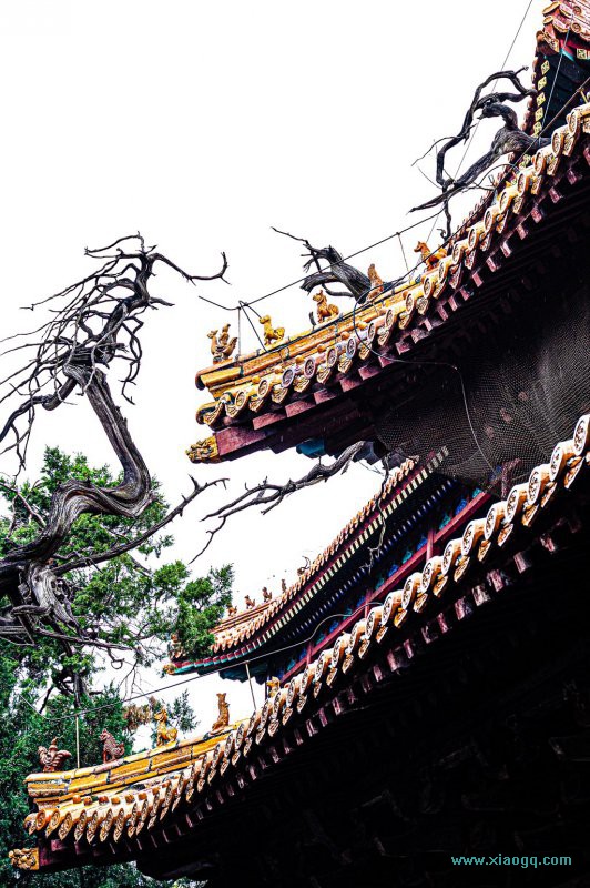 DSC_5749_副本.jpg
