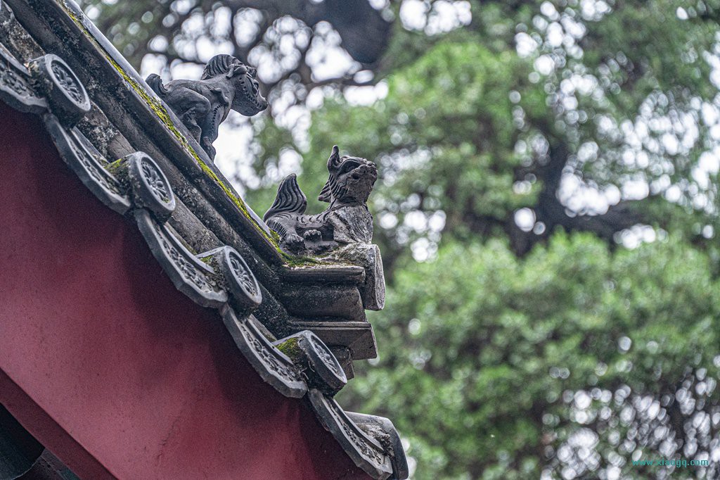 DSC_5765_副本.jpg