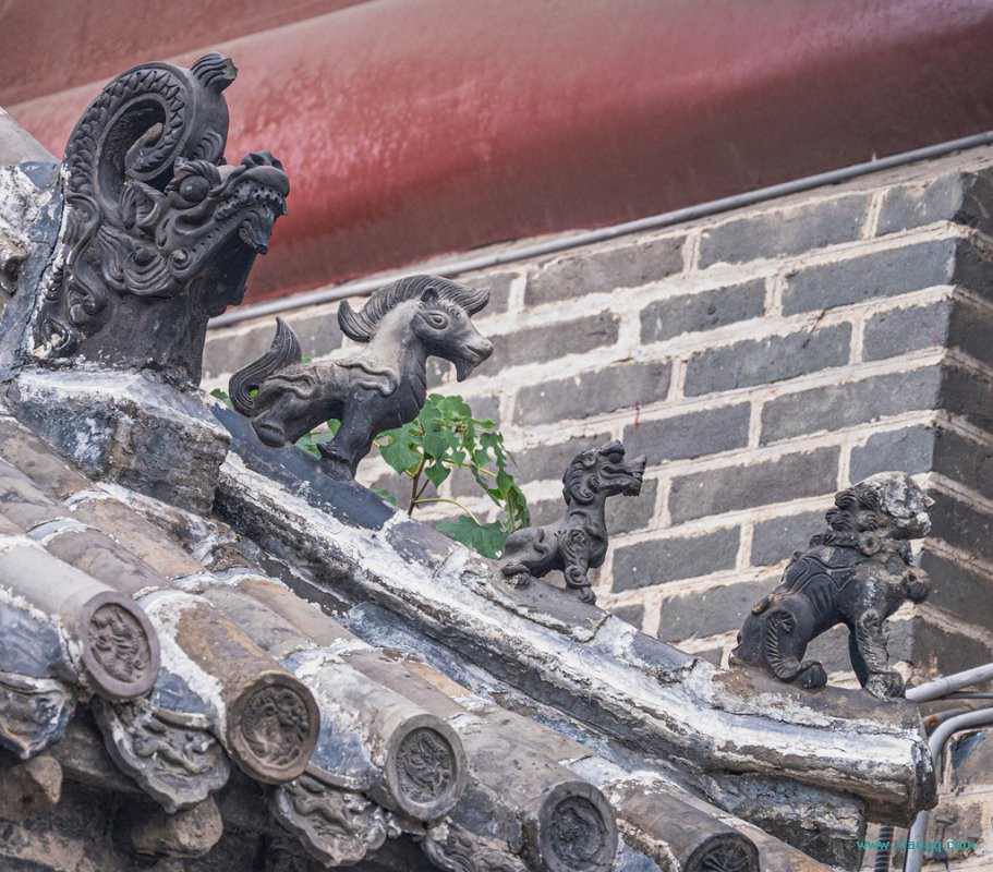 DSC_5767_副本.jpg